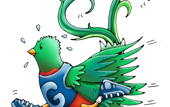 Ibermed Quetzal